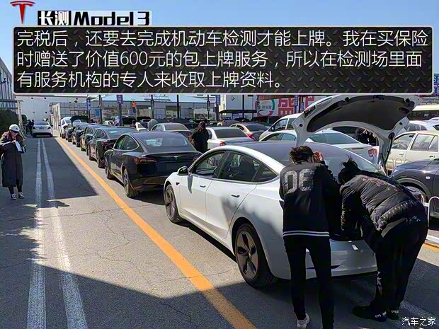 特斯拉（进口） Model 3(进口) 2019款 长续航后驱版