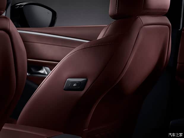 长安标致雪铁龙 DS 9新能源 2020款 基本型 长安标致雪铁龙 DS 9新能源 2020款 基本型