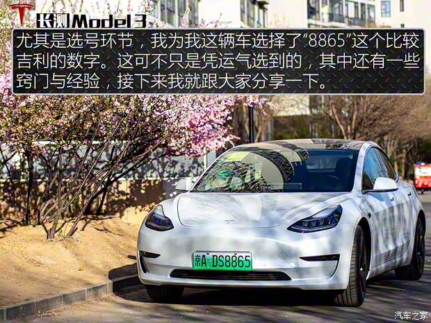 特斯拉（进口） Model 3(进口) 2019款 长续航后驱版