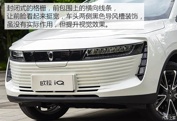 长城汽车 欧拉iQ 2018款 基本型