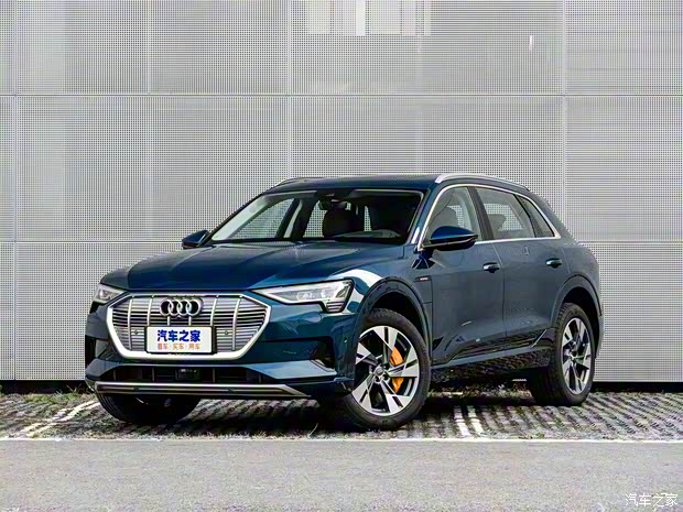 奧迪(進口) 奧迪e-tron 2019款 55 quattro 專享型