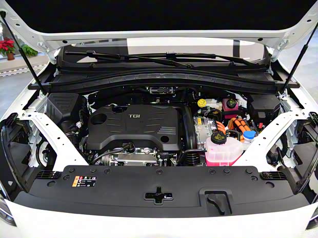 上汽集团 MG领航新能源 2021款 Trophy系列 1.5T 混动Trophy尊享版