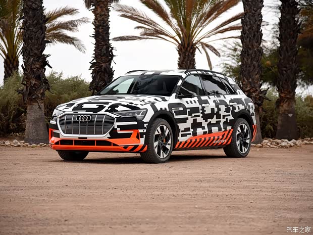 奥迪(进口) 奥迪e-tron 2018款 Prototype