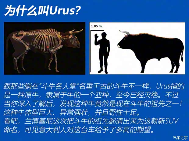 蘭博基尼 Urus 2018款 4.0T V8