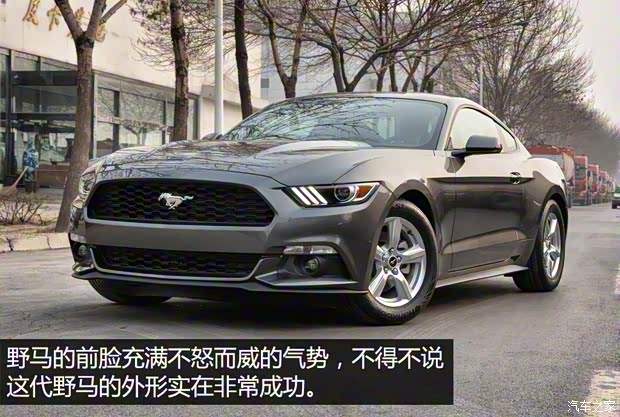 福特(进口) 野马 2016款 2.3T 性能版