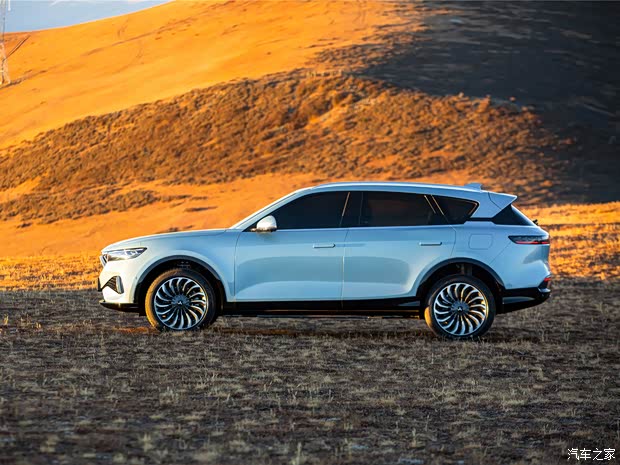 岚图汽车 岚图FREE 2021款 增程版试装车