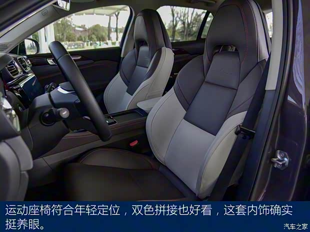 領(lǐng)克 領(lǐng)克02新能源 2021款 1.5T PHEV Pro