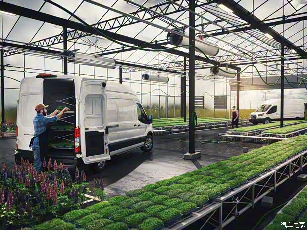 福特(進(jìn)口) 全順新能源(海外) 2021款 基本型