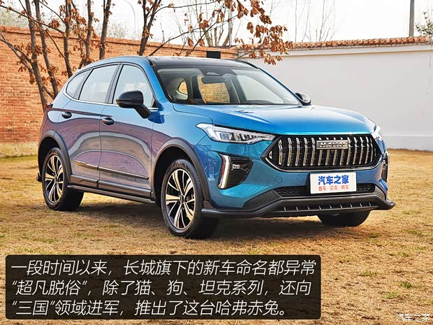 長(zhǎng)城汽車 哈弗赤兔 2021款 基本型