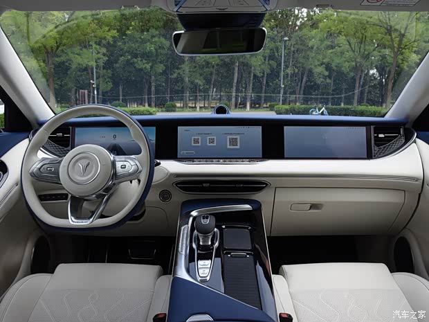 嵐圖汽車 嵐圖FREE 2021款 四驅(qū)純電版專屬豪華套裝