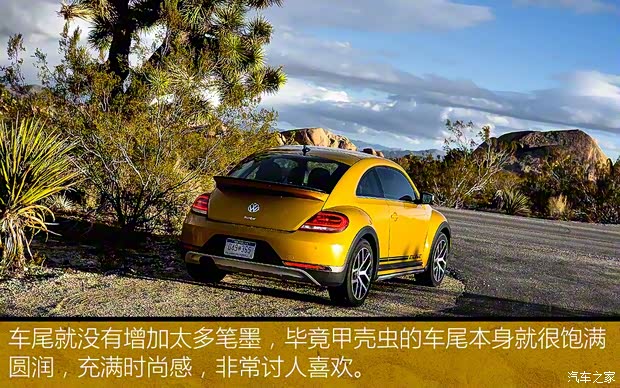 大眾(進(jìn)口) 甲殼蟲 2016款 Dune
