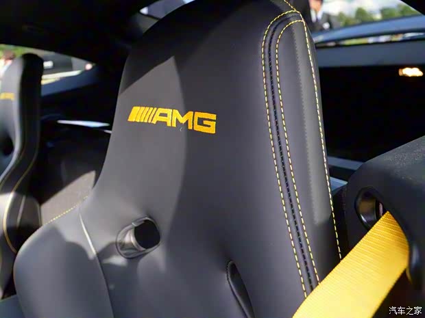 梅赛德斯-AMG AMG GT 2016款 AMG GT R