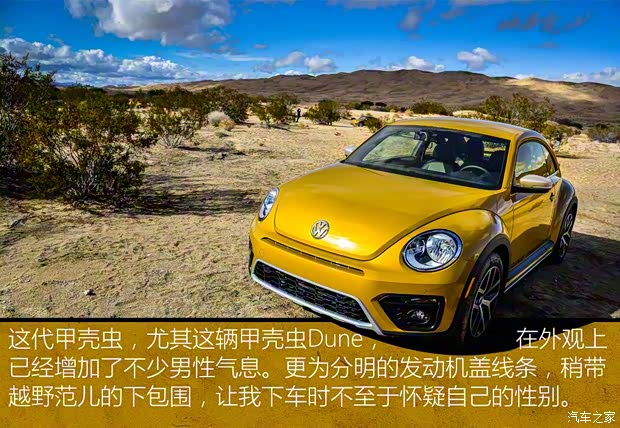 大眾(進(jìn)口) 甲殼蟲 2016款 Dune