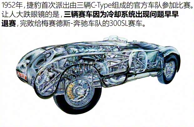 捷豹 捷豹D-Type 1956款 基本型