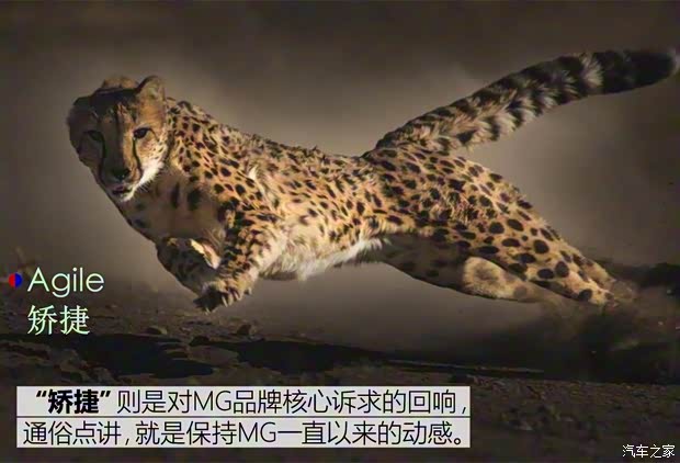 上汽集團(tuán) 名爵ZS 2017款 基本型