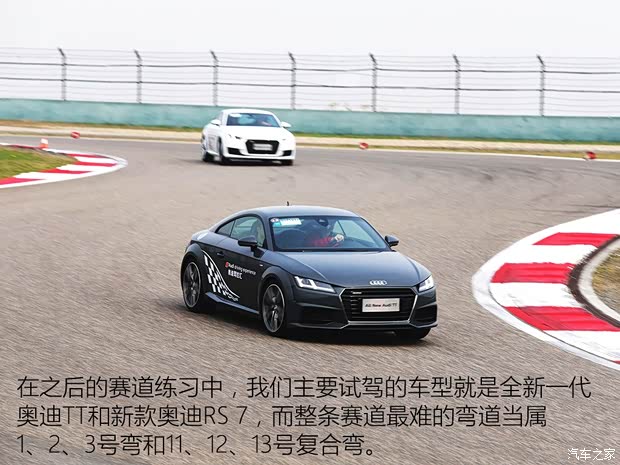 奥迪(进口) 奥迪TT 2015款 TT Coupe 45 TFSI quattro