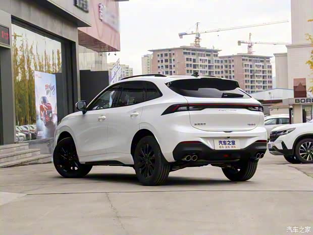 东风风行 风行T5 EVO 2021款 1.5T DCT钻石版 东风风行 风行T5 EVO 2021款 1.5T DCT钻石版