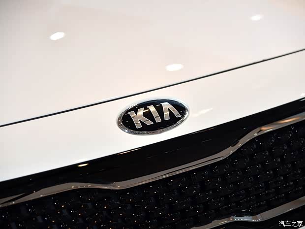 起亚(进口) 极睿 2017款 1.6L 豪华版 起亚(进口) 极睿 2017款 1.6L 豪华版