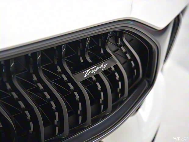 上汽集团 MG领航新能源 2021款 Trophy系列 1.5T 混动Trophy尊享版