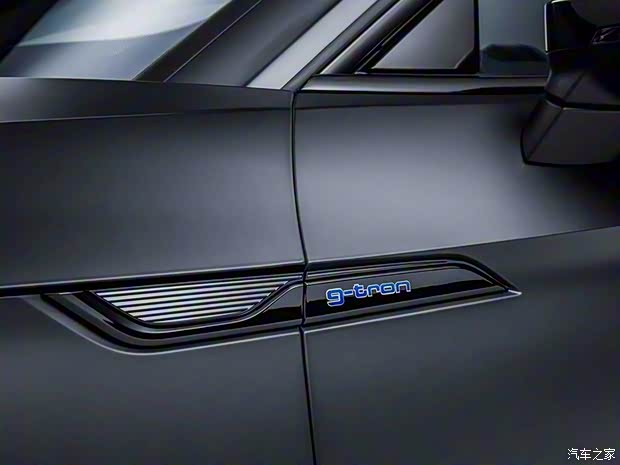 奧迪(進(jìn)口) 奧迪A5 2017款 Sportback g-tron 特別版