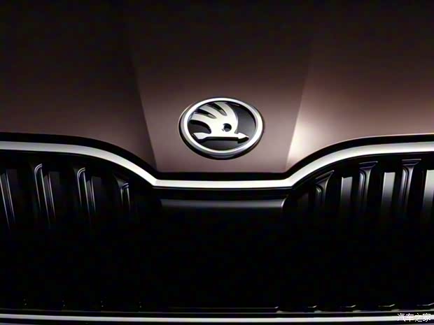 斯柯达(进口) 明锐(进口) 2017款 旅行版 斯柯达(进口) 明锐(进口) 2017款 旅行版