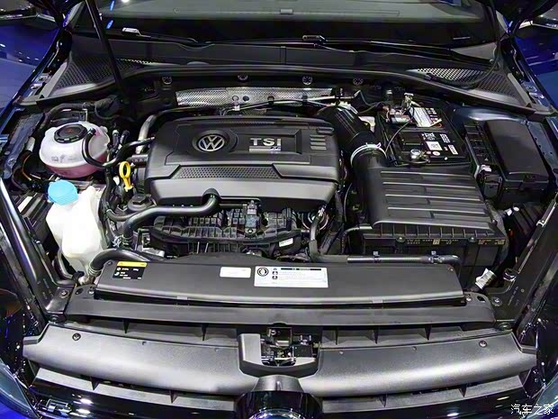 大众(进口) 高尔夫(进口) 2017款 2.0TSI R