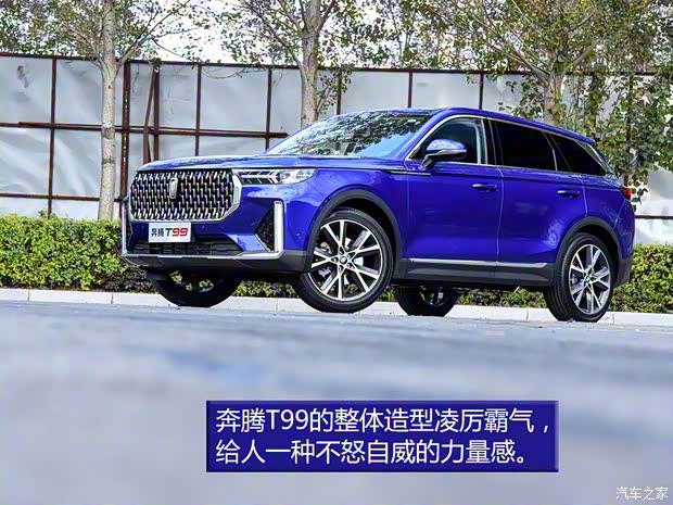 一汽奔腾 奔腾T99 2019款 20TD 自动旗舰型