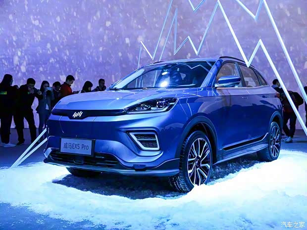 威马汽车 威马EX5 2019款 EX5 Pro 智行2.0 500