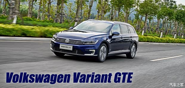 大众(进口) 蔚揽新能源 2019款 GTE