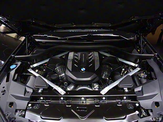 宝马(进口) 宝马X6 2020款 M50i