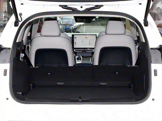 长城汽车 摩卡 2021款 2.0T 两驱特醇版