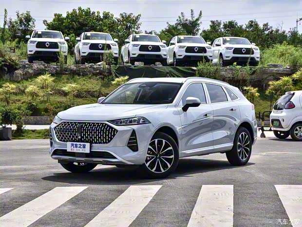 長(zhǎng)城汽車(chē) 摩卡 2021款 2.0T 兩驅(qū)特濃版