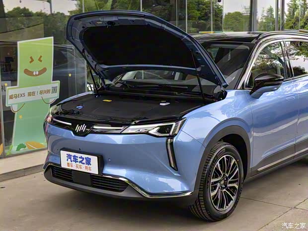 威马汽车 威马W6 2021款 基本型