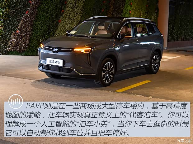 威马汽车 威马W6 2021款 520km ACE极智版
