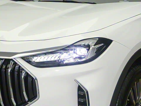 2025款 冠军版 1.5T DCT冠军PRO 5座 2025款 冠军版 1.5T DCT冠军PRO 5座