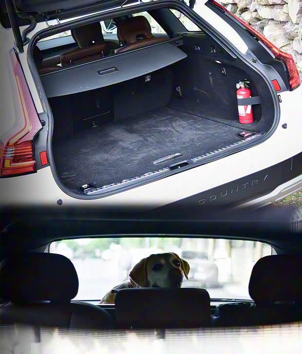 沃尔沃(进口) 沃尔沃V90 2021款 Cross Country B5 AWD 智尊版