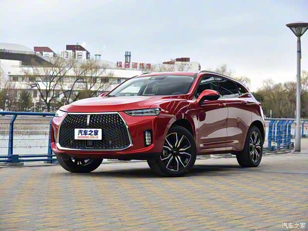 長(zhǎng)城汽車(chē) WEY P8 2018款 基本型