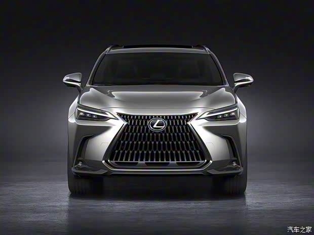 雷克薩斯 雷克薩斯NX 2022款 450h+ AWD
