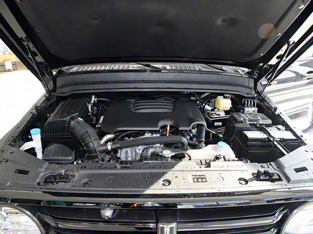 長城汽車 坦克300 2021款 越野版 2.0T 征服者