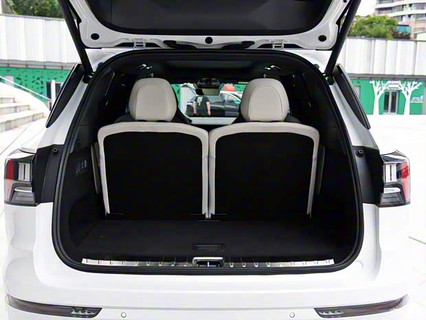 領(lǐng)克 領(lǐng)克09 2021款 基本型