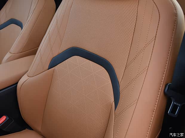 雷克萨斯 雷克萨斯UX新能源 2020款 300e