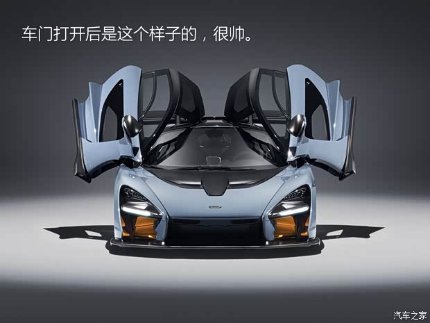 迈凯伦 Senna 2018款 4.0T 标准型