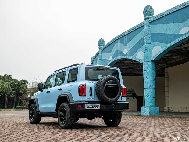 长城汽车 坦克300 2021款 2.0T 致敬莫奈限定版 长城汽车 坦克300 2021款 2.0T 致敬莫奈限定版