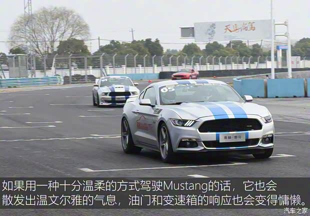 威蒙積泰 賽麟Mustang 2015款 5.0T 豪華鉑金型 威蒙積泰 賽麟Mustang 2015款 5.0T 豪華鉑金型