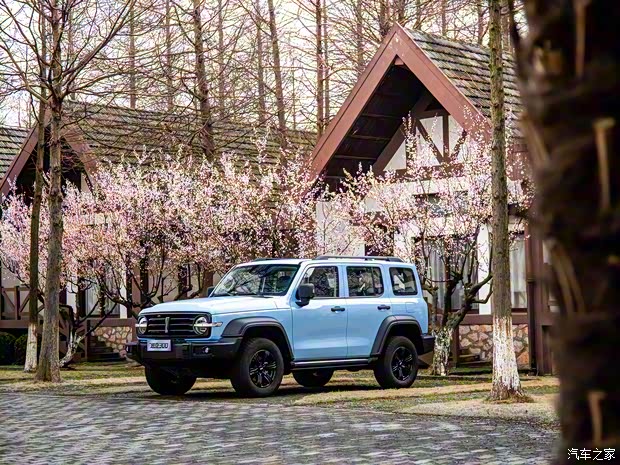 長城汽車 坦克300 2021款 2.0T 致敬莫奈限定版