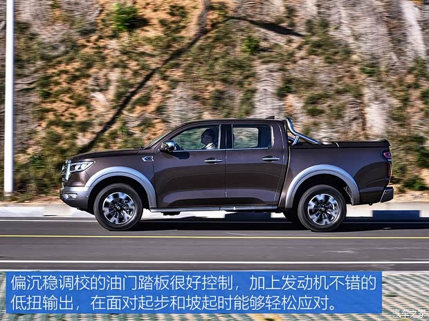 长城汽车 炮 2019款 2.0T四驱尊享版小双GW4C20B