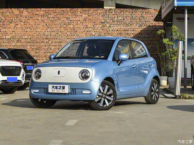 長城汽車 歐拉R1 2019款 351km 親子版