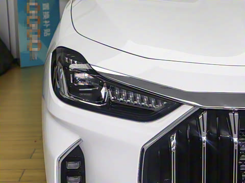 2025款 冠军版 1.5T DCT冠军PRO 5座 2025款 冠军版 1.5T DCT冠军PRO 5座