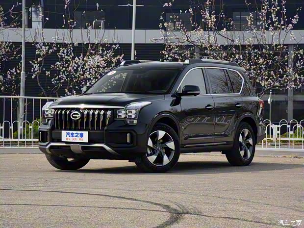 廣汽乘用車 傳祺GS8 2020款 GS8S 390T 兩驅豪華智聯(lián)版