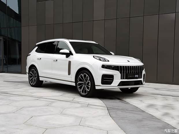 領(lǐng)克 領(lǐng)克09 2021款 基本型